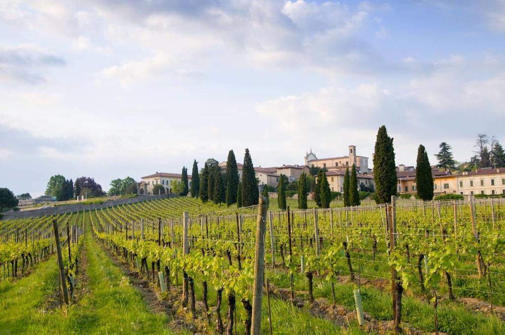 B&B Camignone Franciacorta Passirano Kültér fotó